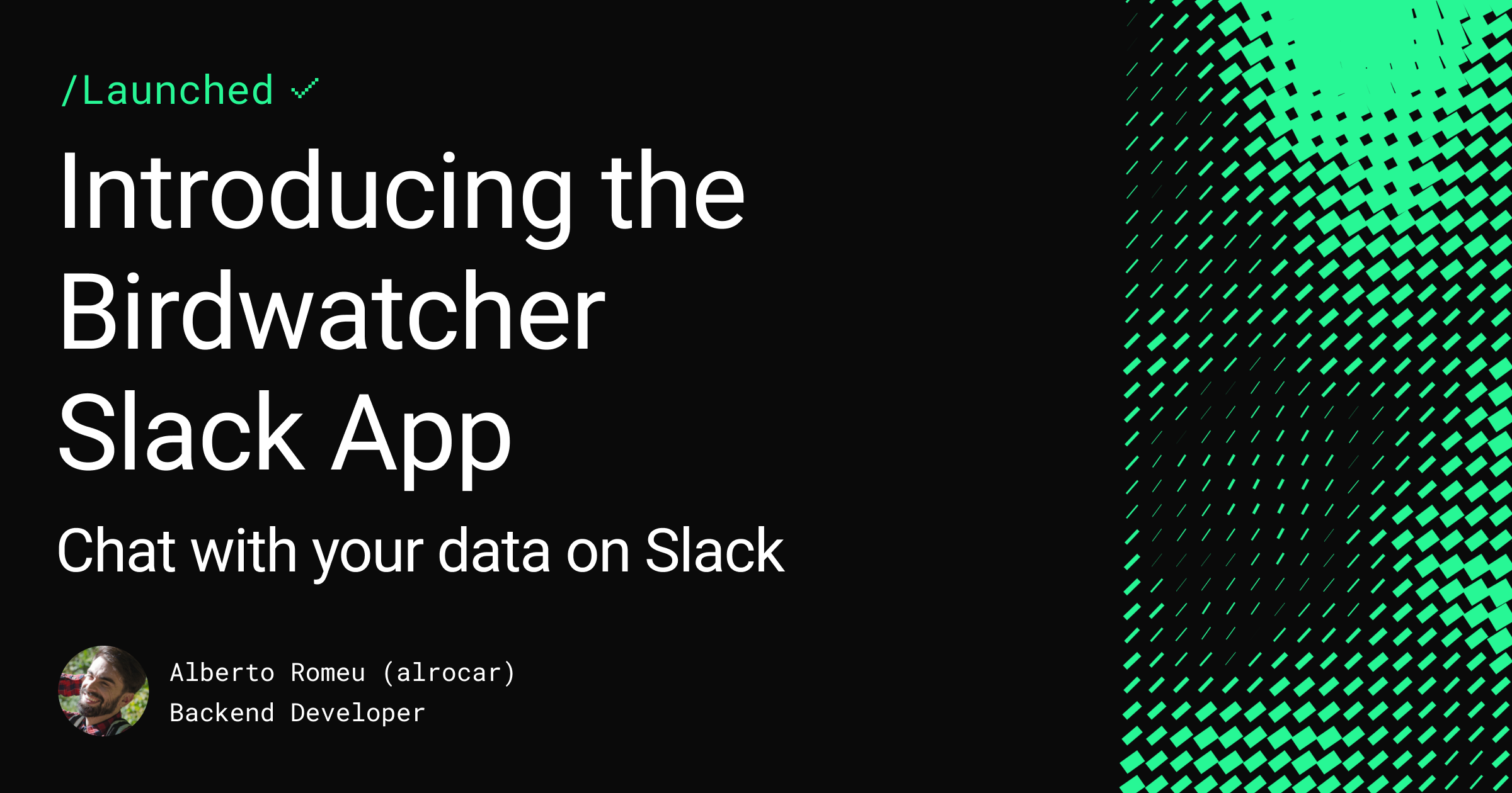 Chat with your data using the Birdwatcher Slack App Feature image